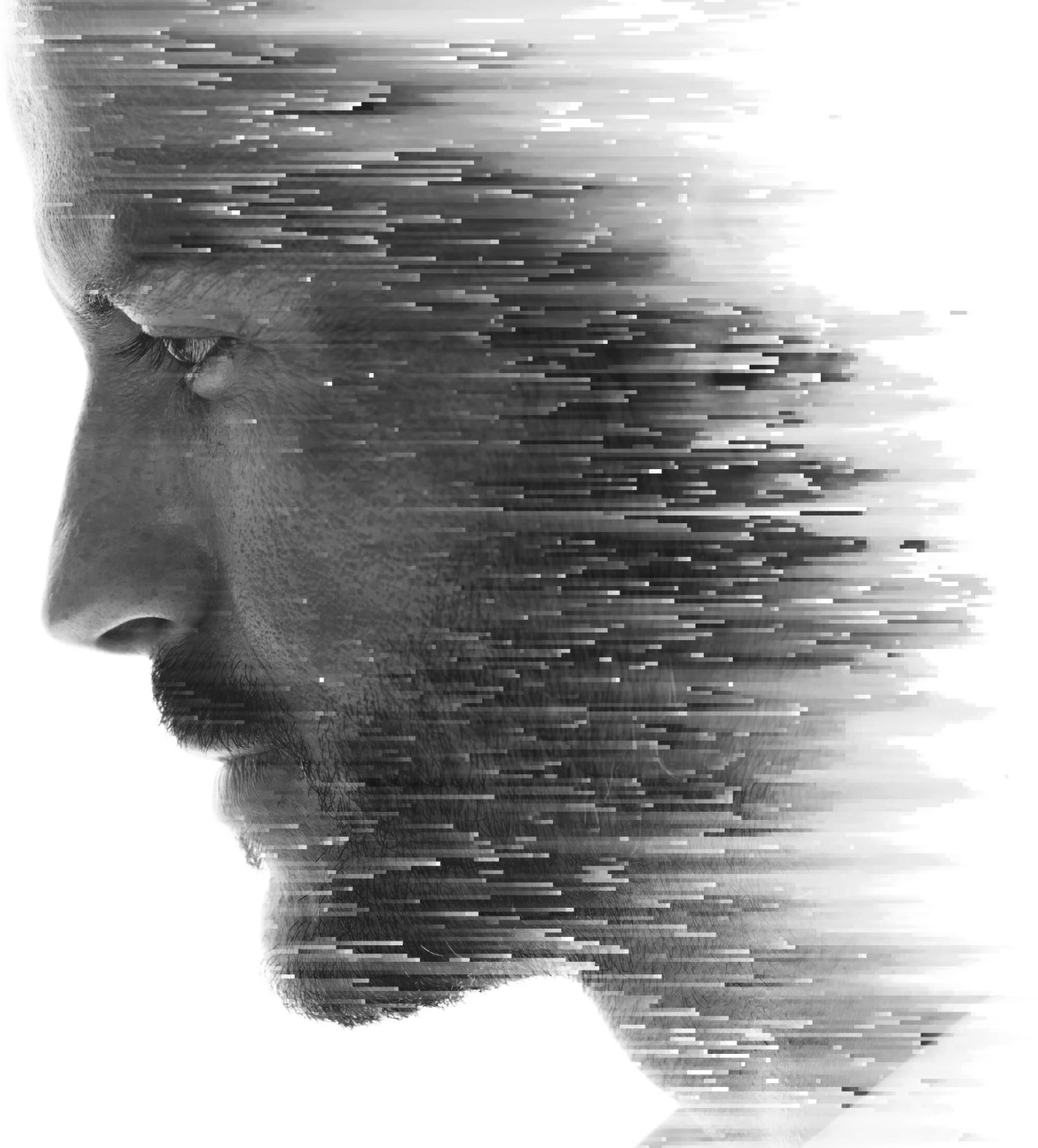 Simple black silhouette of a cat