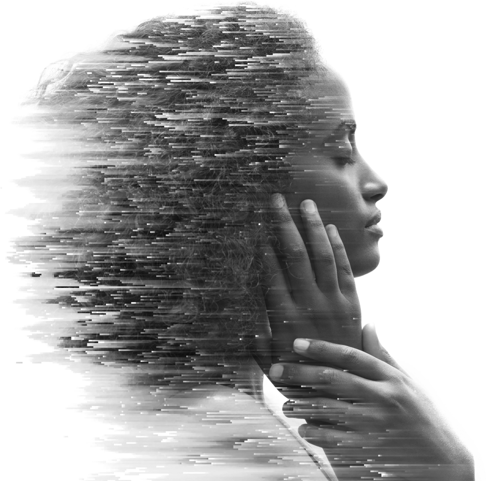 Simple black silhouette of a cat
